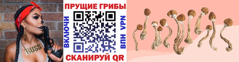 Галлюциногенные грибы MAGIC MUSHROOMS  Купить где  Соль-Илецк 