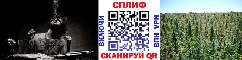 Бошки Шишки THC 21%  Купить где  Соль-Илецк 